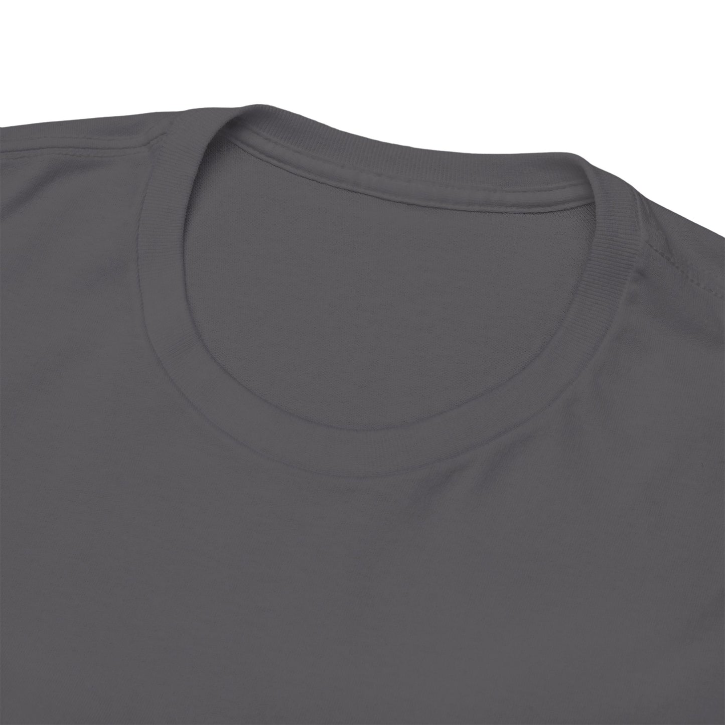 VACAY MODE Heavy Cotton T-Shirt for Men, Women, Teens