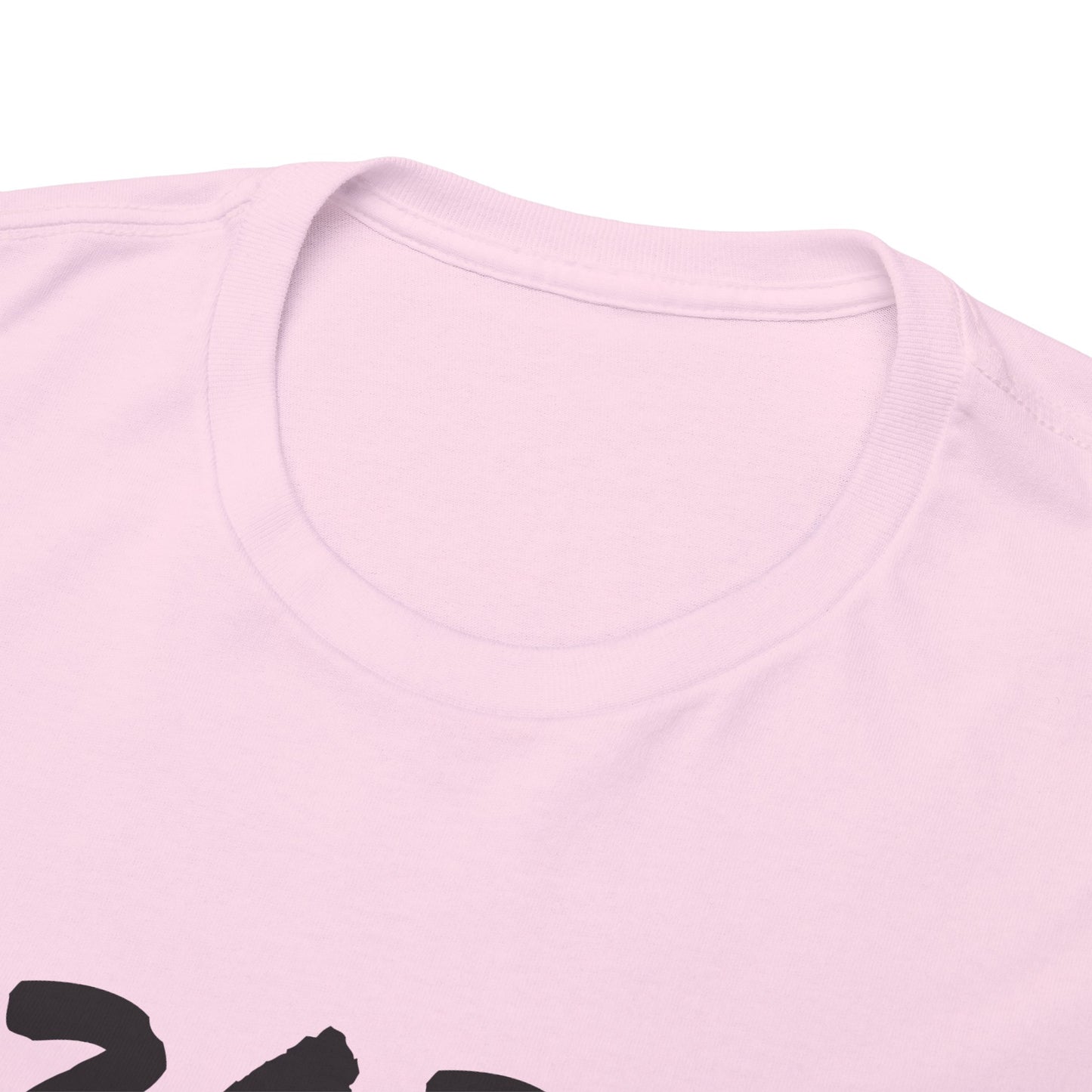 2024 I GOT THIS- Heavy Cotton T-Shirt for Men Women Teens
