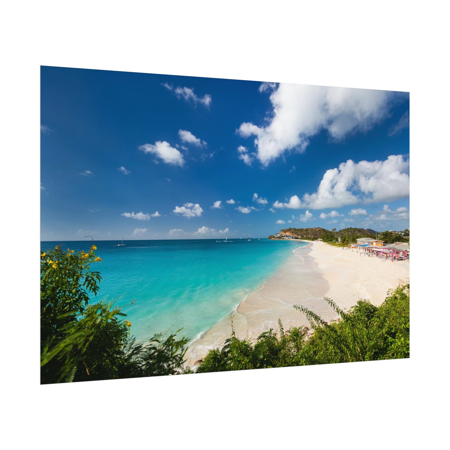 Darkwood Antigua, Rolled Poster, 14x11", 18x12", 30x20"