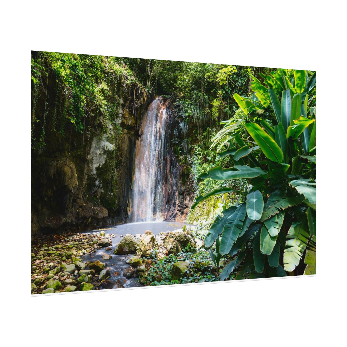 Diamond Falls, Saint Lucia, Rolled Poster