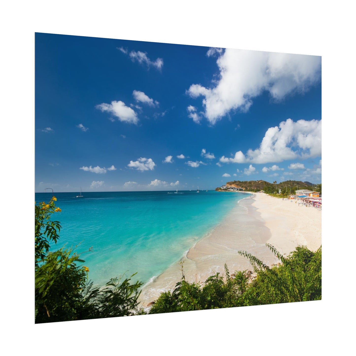 Darkwood Antigua, Rolled Poster, 14x11", 18x12", 30x20"