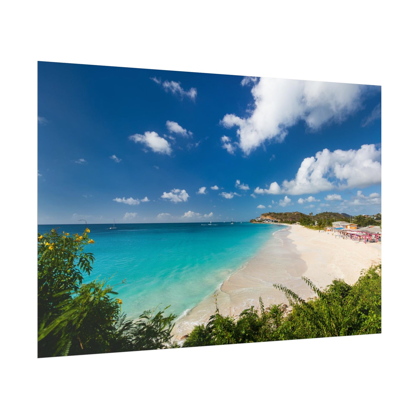 Darkwood Antigua, Rolled Poster, 14x11", 18x12", 30x20"