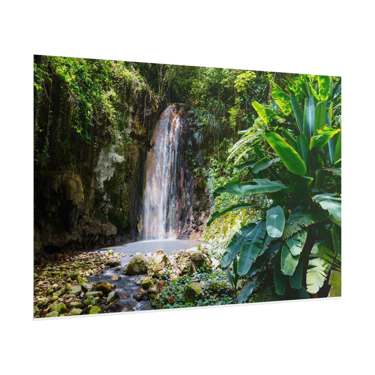 Diamond Falls, Saint Lucia, Rolled Poster